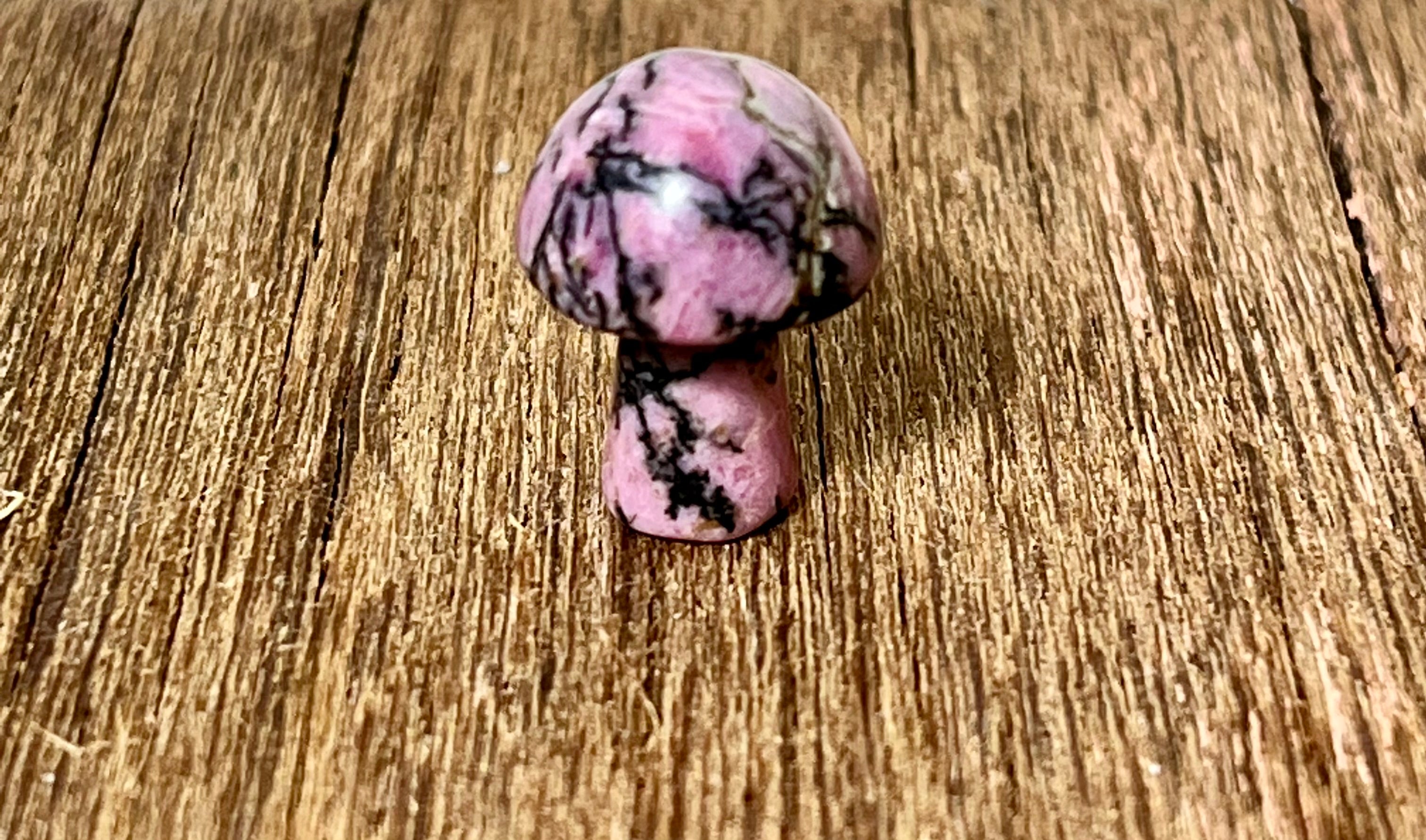 Mini Rhodonite Crystal Mushroom – Aroha Love